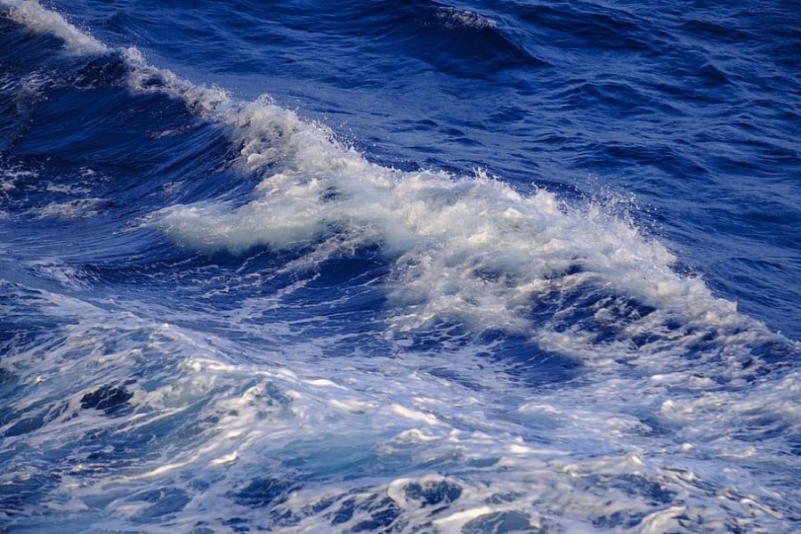 wave-water-sea-ocean.jpg