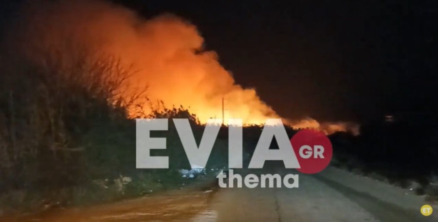 Χωρίς τίτλο.jpg