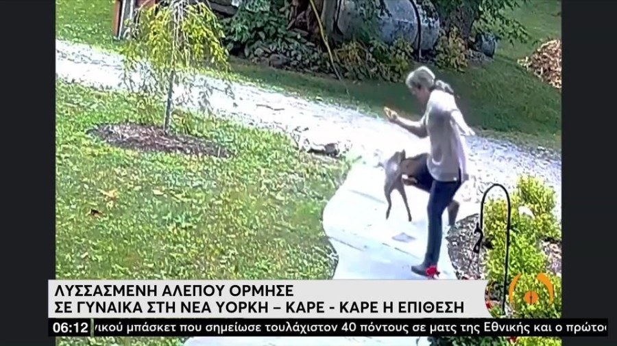 profile player-960x540.JPG