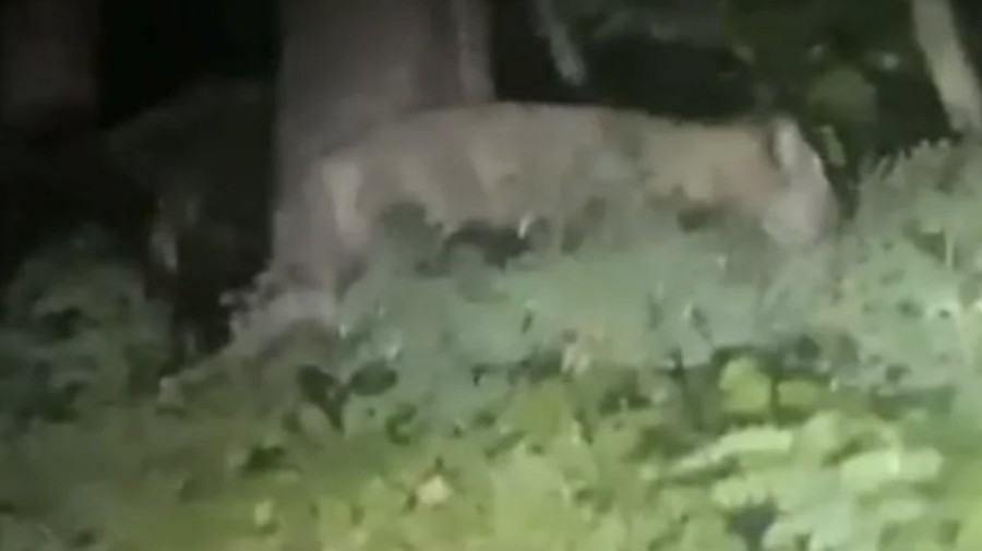 Στιγμιότυπο 2023-07-21, 4.19.30 μμ.png