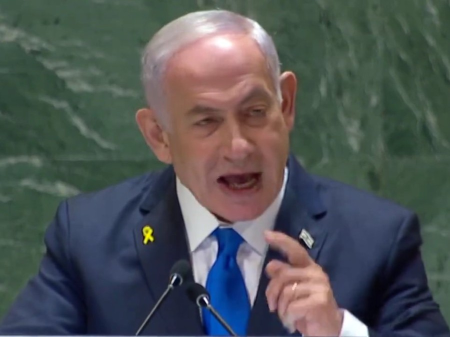 bibi.jpg