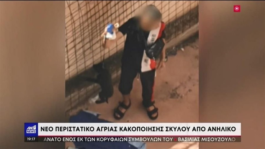 profile_player-960x540.jpe