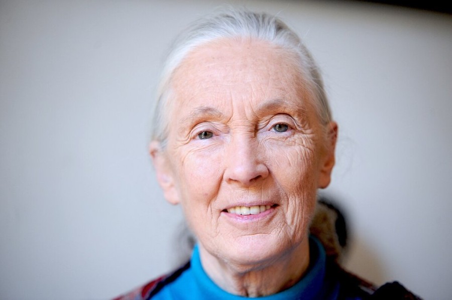Jane_Goodall_2010.jpg