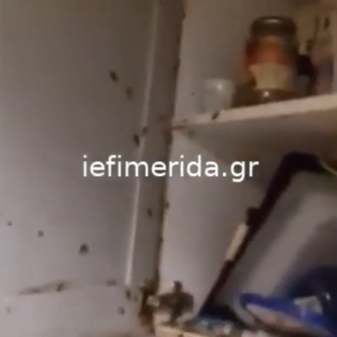 Χωρίς τίτλο.jpg