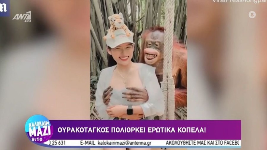 profile player-960x540.jpg