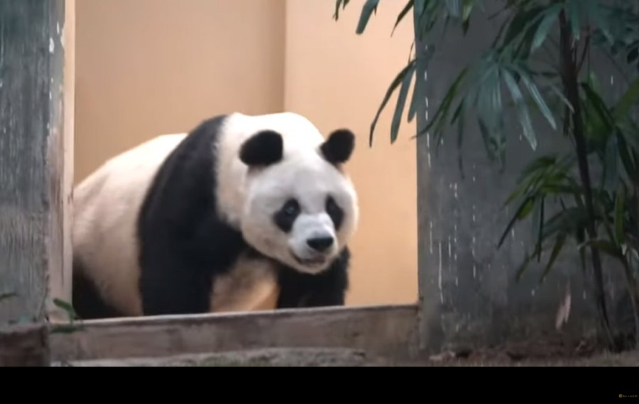 Χωρίς τίτλο.png