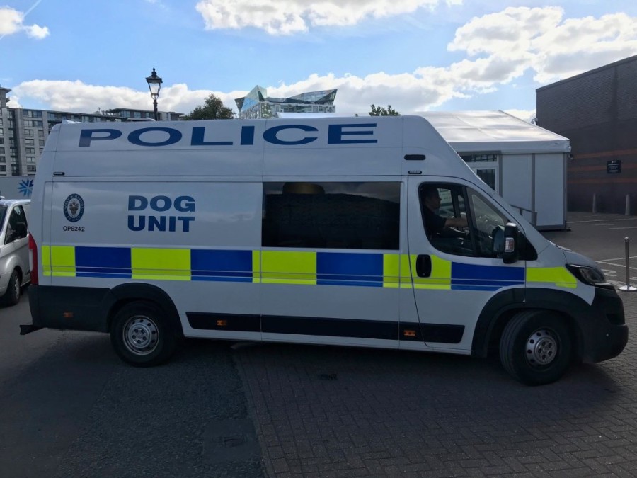 mpermigham.jpg_large