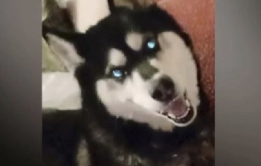 Στιγμιότυπο 2023-12-07, 7.13.19 μμ.png