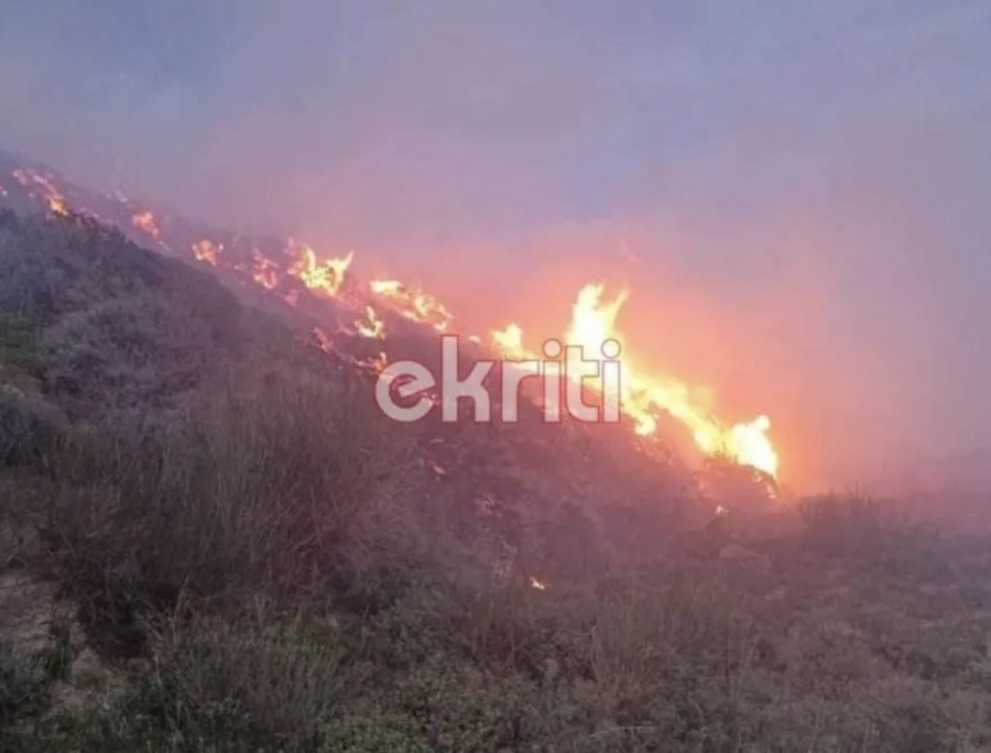 Στιγμιότυπο οθόνης 2024-04-06, 11.13.45 πμ.png