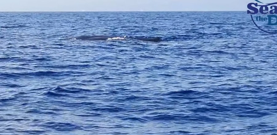 Χωρίς τίτλο.jpg