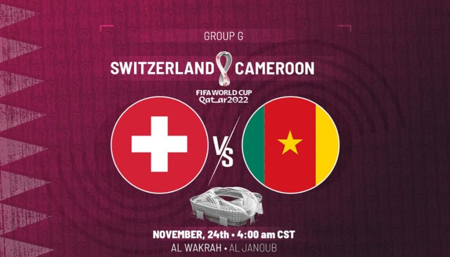 ελβετια καμερουν βασικη.JPG