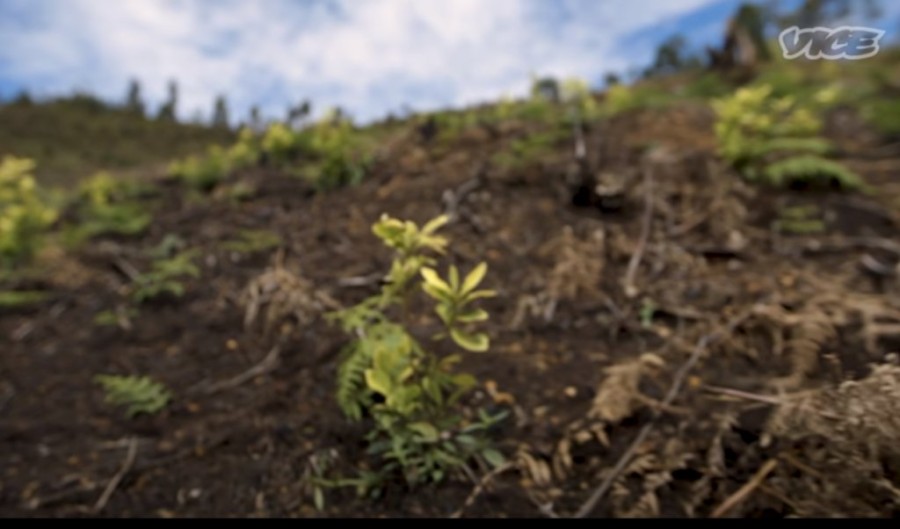 Χωρίς τίτλο.png