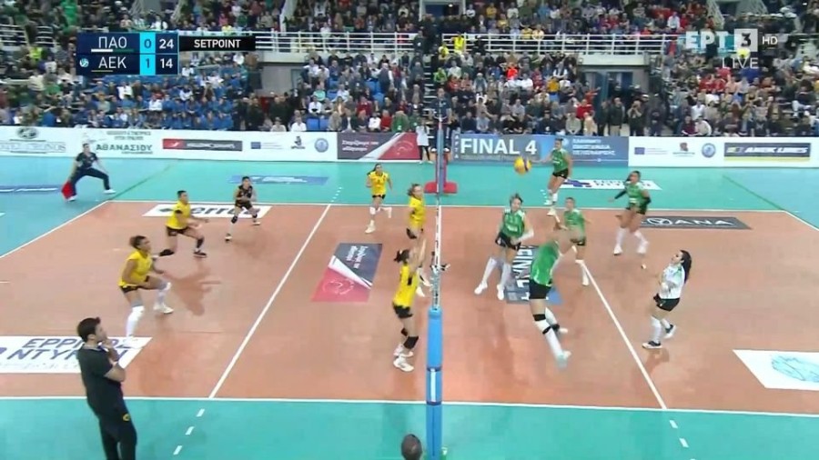 profile player-960x540.jpg