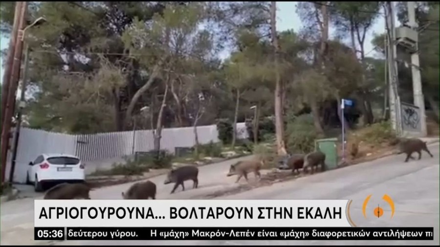 profile player-960x540.jpg