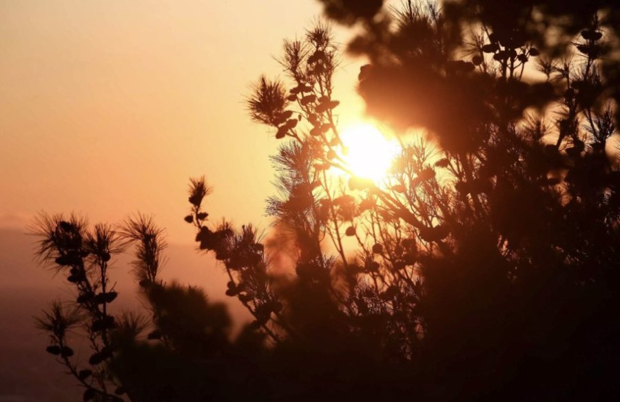 Στιγμιότυπο οθόνης 2024-05-11, 10.49.49 μμ.png