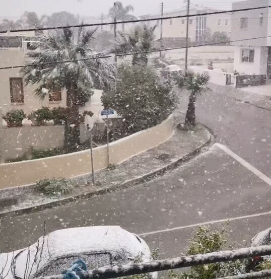 Screenshot 2022-03-13 120737.jpg