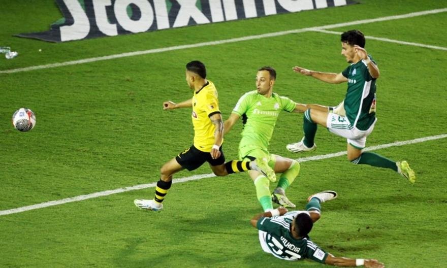 πινεδα παναθηναικος.jpeg