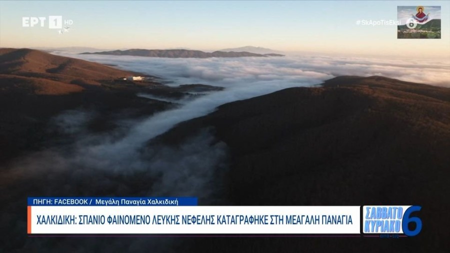 profile player-960x540.jpg