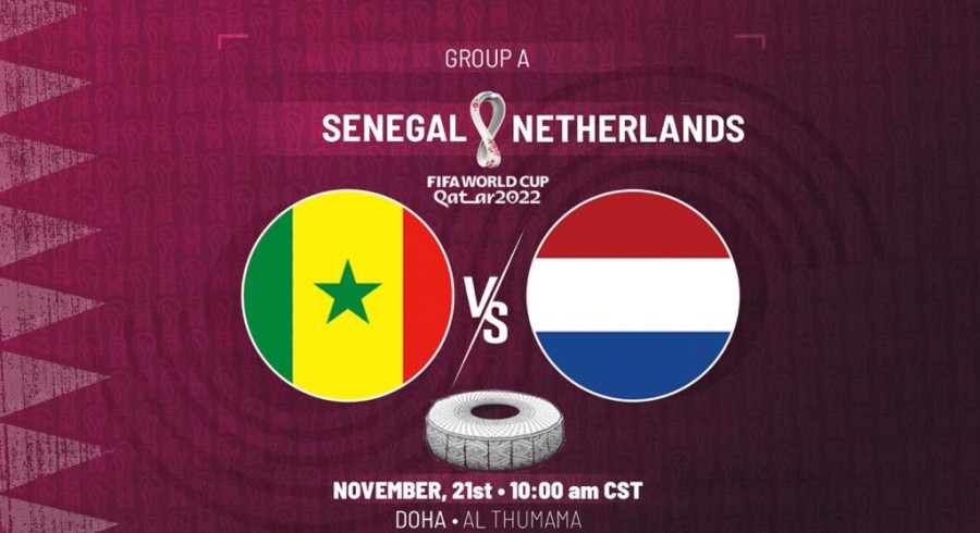 ΣΕΝΕΓΑΛΗ ΟΛΛΑΝΔΙΑ ΒΑΣΙΚΗ.JPG