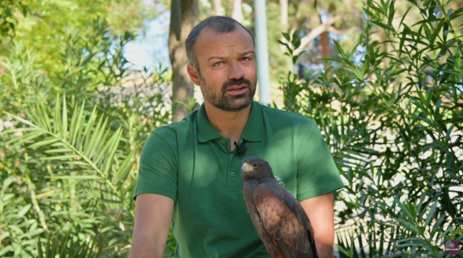 Χωρίς τίτλο.jpg