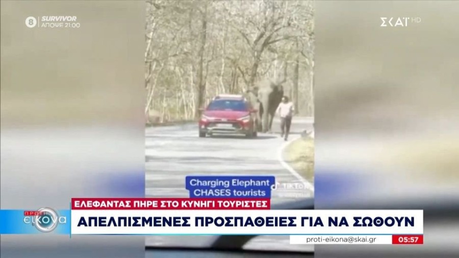 profile player-960x540.jpg