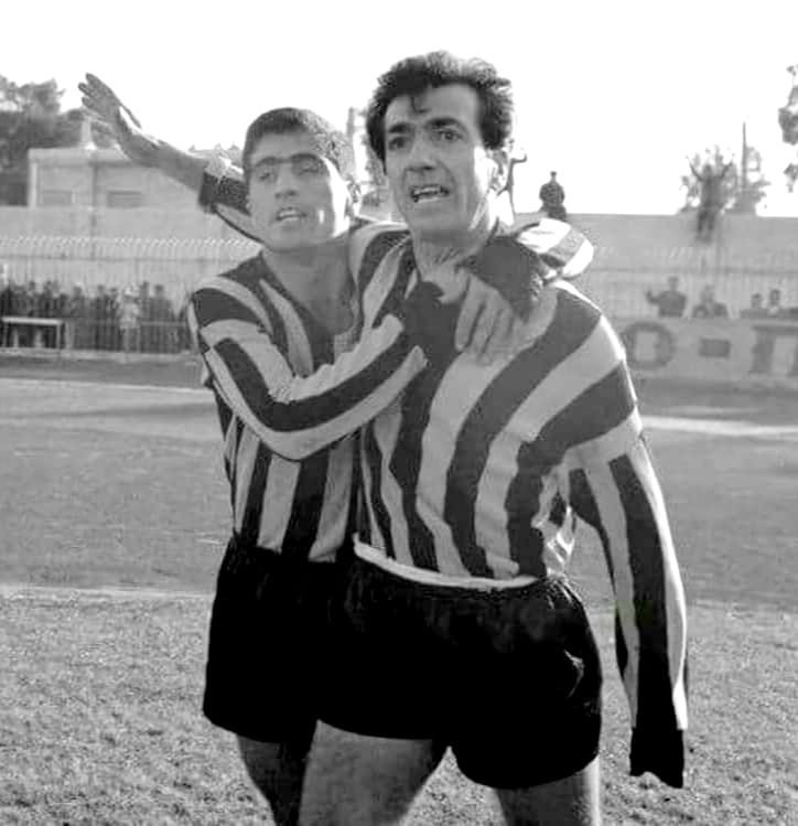 nestoridis papaioannou.jpg