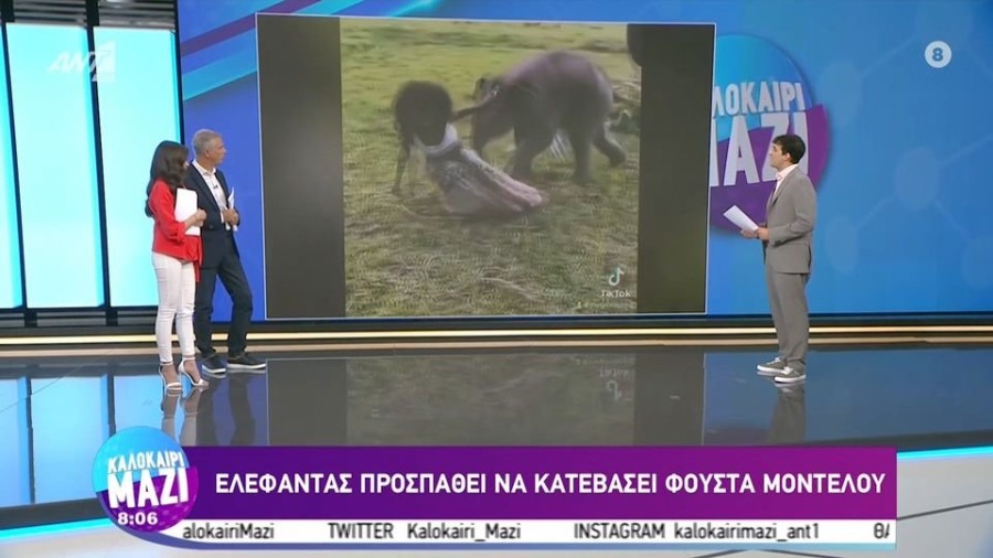 profile player-960x540.JPG