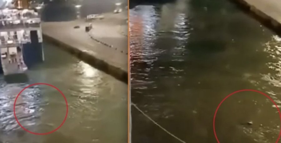 Στιγμιότυπο 2023-09-10, 10.07.56 μμ.png