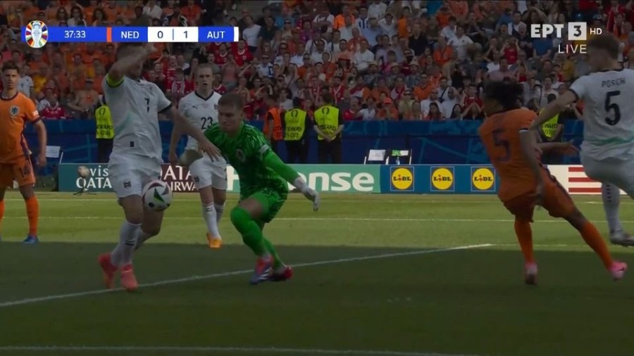 profile_player-960x540 (2).JPG