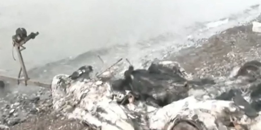 Στιγμιότυπο 2023-07-26, 10.03.01 μμ.png