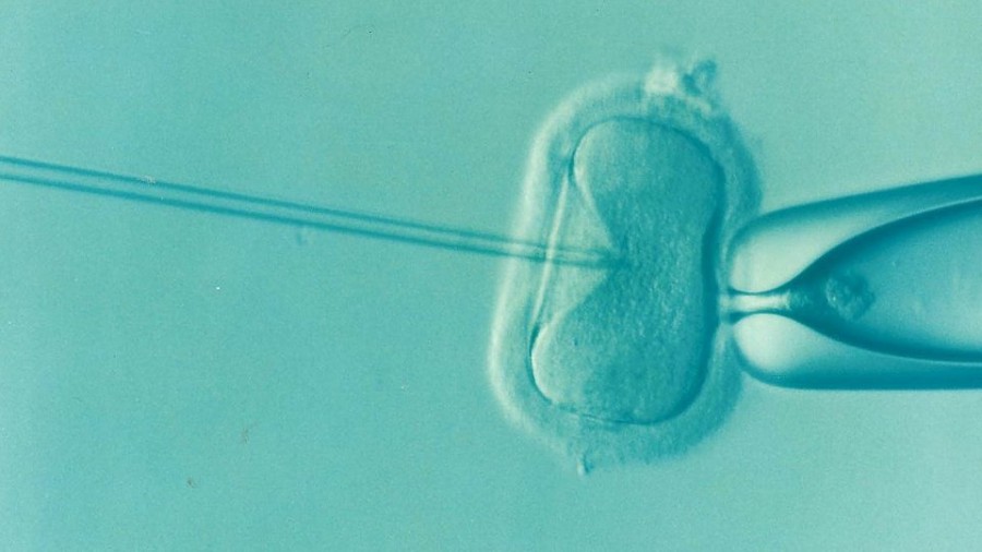 ivf-1514174_960_720.png