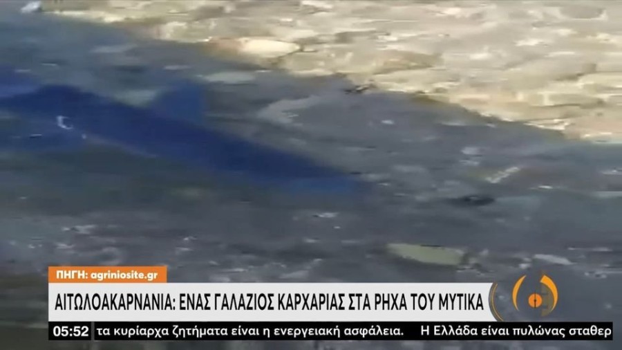 profile player-960x540.JPG