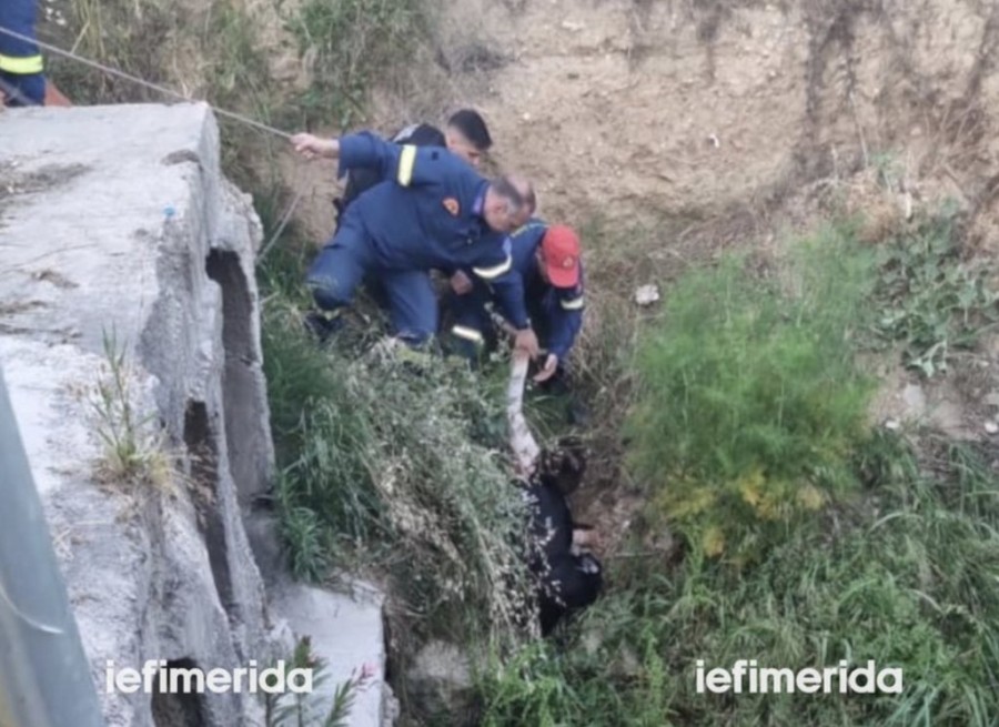 Στιγμιότυπο 2023-05-17, 9.55.15 μμ.png