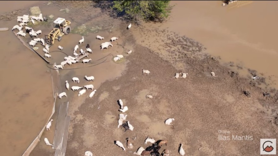 Στιγμιότυπο 2023-09-12, 7.57.37 μμ.png