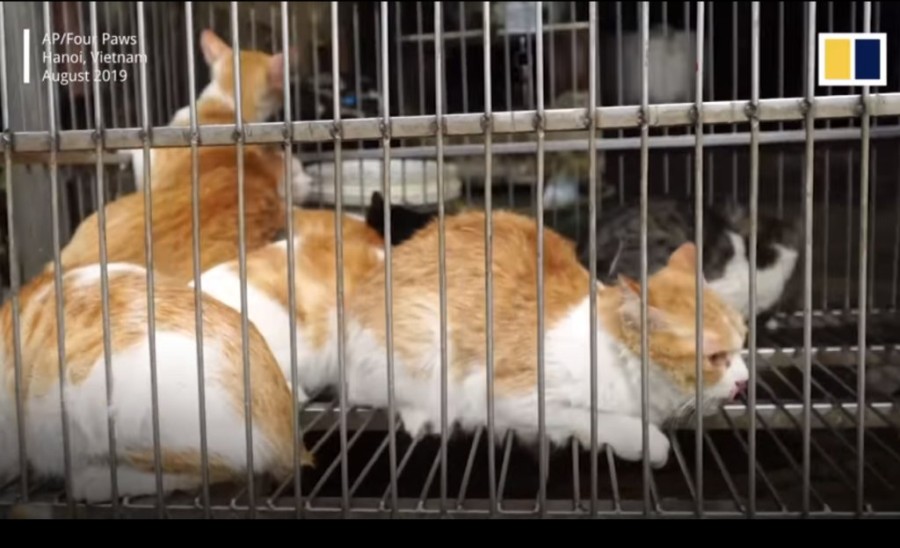 Χωρίς τίτλο.png