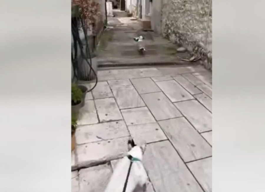 Στιγμιότυπο 2023-05-23, 10.04.08 μμ.png