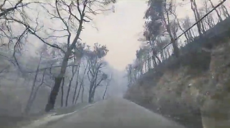 Στιγμιότυπο 2023-08-22, 7.39.09 μμ.png