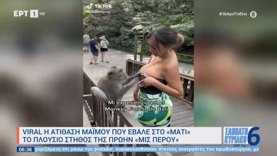 profile player-960x540.jpg