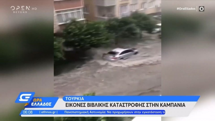 profile player-960x540.JPG