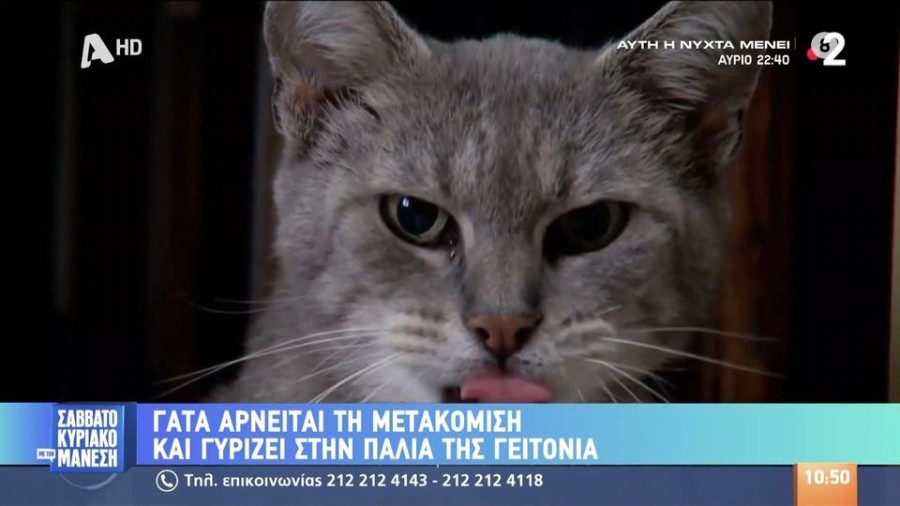 profile player-960x540.JPG