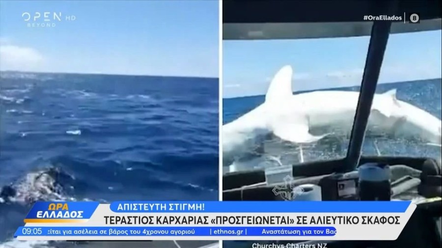 profile player-960x540.JPG