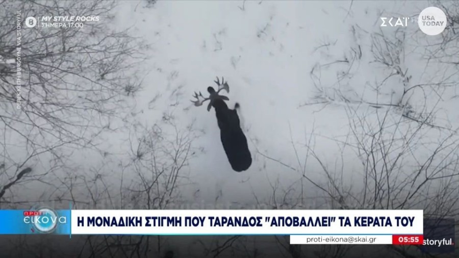 profile player-960x540.JPG