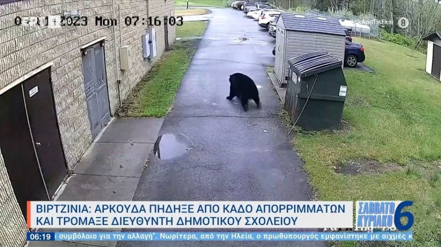 profile player-960x540.jpg