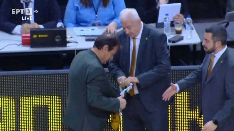 profile_player-960x540 (7).jpe