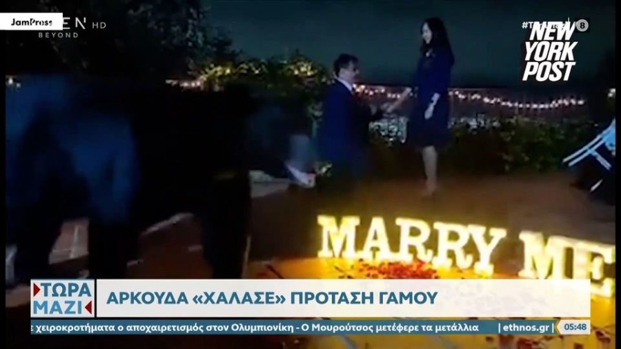 profile player-960x540.jpg