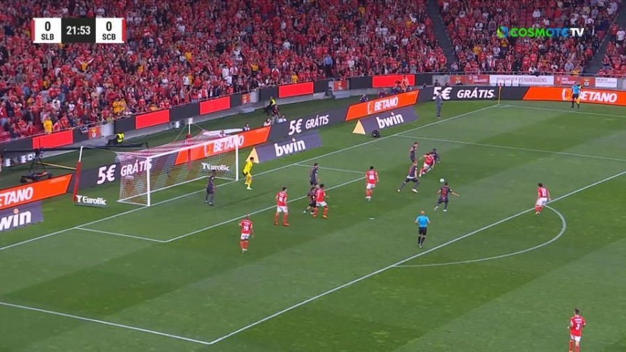 profile player-960x540.jpg