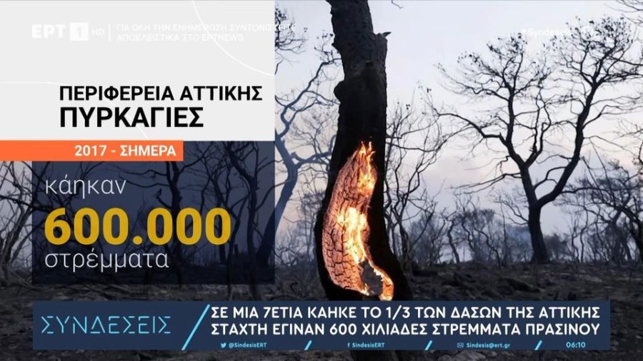 profile player-960x540.JPG