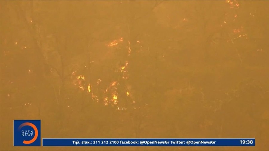 profile player-960x540.JPG