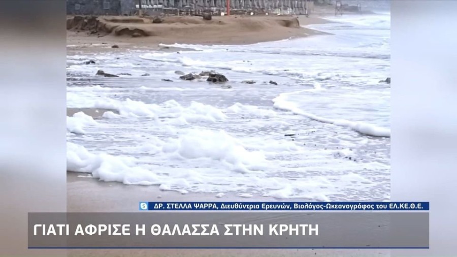 profile player-960x540.JPG