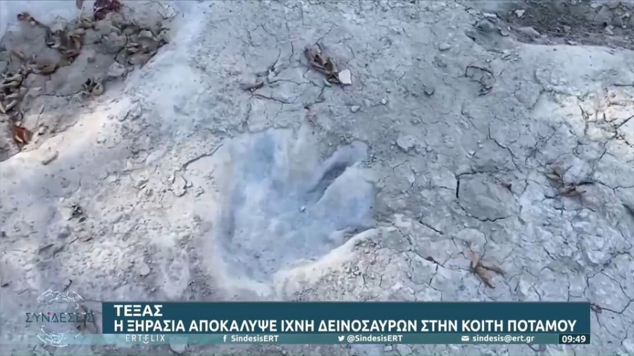 profile player-960x540.jpg